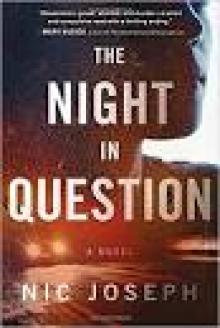 The Night in Question Read online