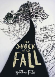 The Shock of the Fall Read online