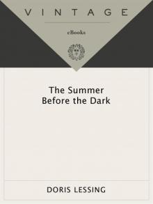 The Summer Before the Dark Read online