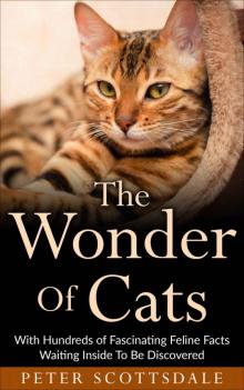 The Wonder of Cats Read online