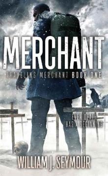 Traveling Merchant (Book 1): Merchant