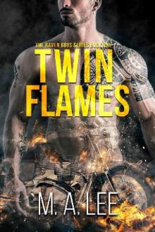 Twin Flames (The Raven Boys Series Book 1) Read online