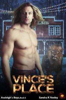 Vince's Place Read online
