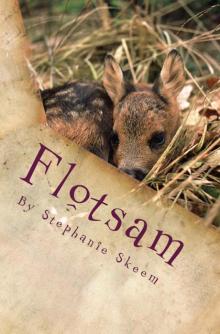 Flotsam Read online