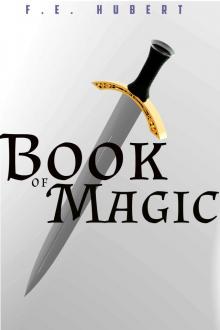 Book of Magic Read online