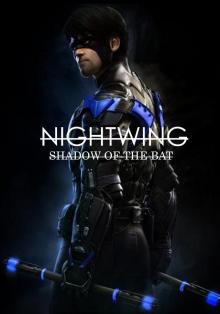 Nightwing: Shadow of the Bat