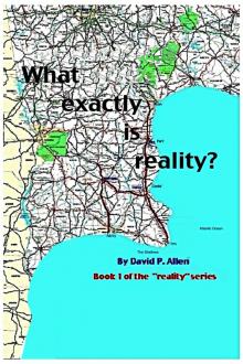 What Exactly Is Reality? Read online