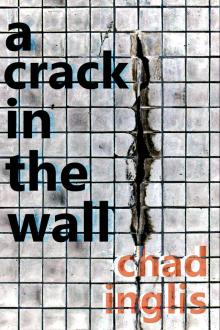A Crack in the Wall Read online