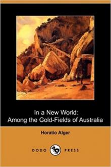 In A New World; or, Among The Gold Fields Of Australia