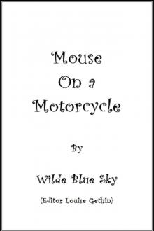 Mouse on a Motorcycle Read online