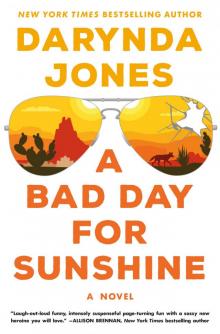 A Bad Day for Sunshine--A Novel Read online