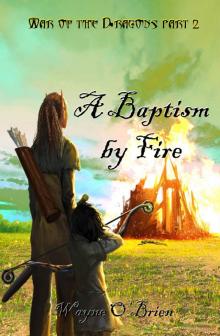 A Baptism by Fire Read online