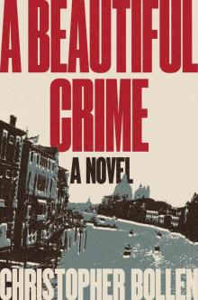 A Beautiful Crime Read online