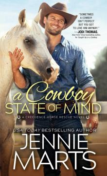 A Cowboy State of Mind Read online