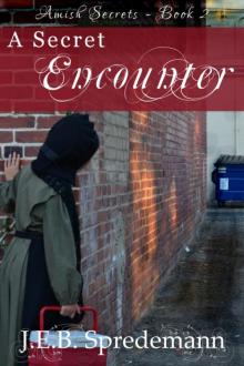 A Secret Encounter (Amish Secrets--Book 2) Read online