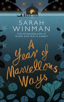 A Year of Marvellous Ways Read online