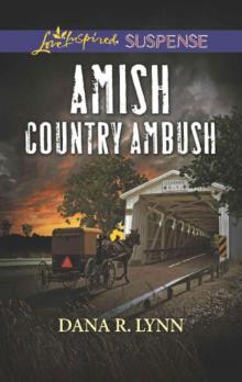 Amish Country Ambush (Amish Country Justice Book 4) Read online