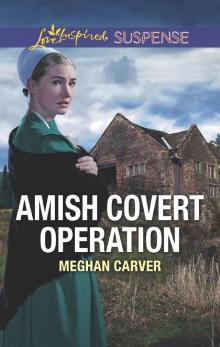 Amish Covert Operation Read online