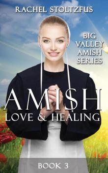 Amish Love and Healing Read online