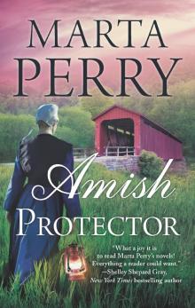 Amish Protector Read online