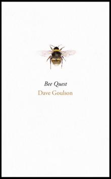 Bee Quest Read online