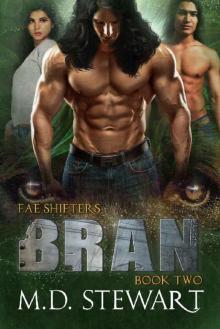 Bran (Fae Shifters Book 2) Read online