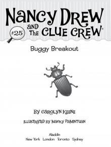 Buggy Breakout Read online