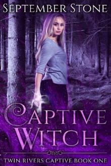 Captive Witch Read online