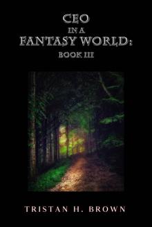 CEO in a Fantasy World 3 Read online