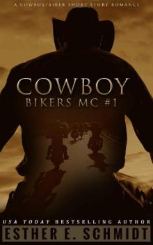 Cowboy Bikers MC #1 Read online