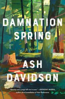 Damnation Spring Read online