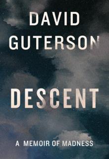 Descent: A Memoir of Madness Read online