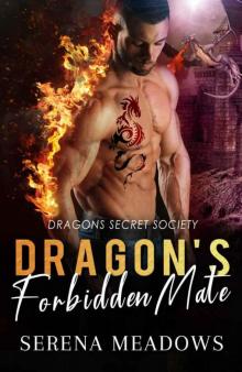 Dragon’s Forbidden Mate (Dragons Secret Society Book 2) Read online