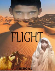 Flight Read online