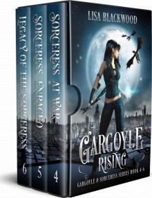 Gargoyle and Sorceress Boxset 2 Read online