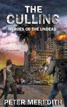 Heroes of the Undead | Book 1 | The Culling Read online