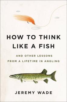 How to Think Like a Fish Read online