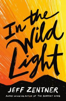 In the Wild Light Read online