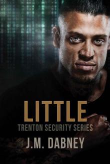 Little (Trenton Security Book 2) Read online