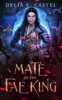 Mate of the Fae King (Dark Faerie Court Book 2) Read online
