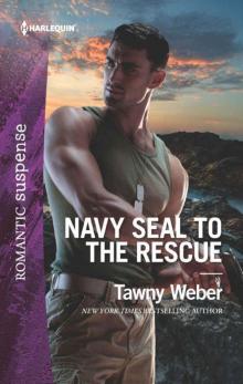 Navy SEAL To The Rescue (Aegis Security Book 1) Read online