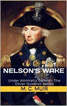 Nelson's Wake Read online