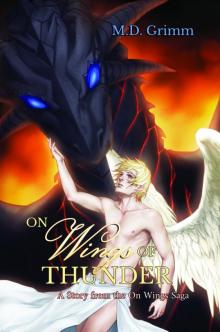 On Wings of Thunder (On Wings Saga 1) Read online