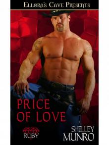 Price of Love Read online