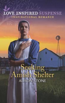 Seeking Amish Shelter Read online