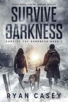 Survive the Darkness: A Post Apocalyptic EMP Survival Thriller Read online
