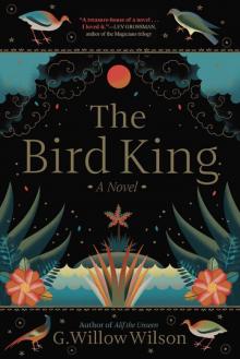 The Bird King Read online