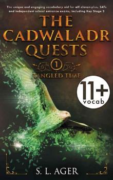 The Cadwaladr Quests