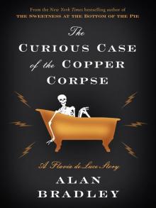 The Curious Case of the Copper Corpse Read online