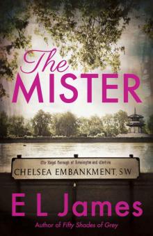 The Mister Read online